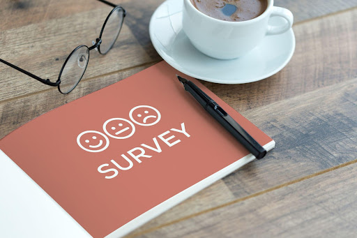 What are the Best Paid Survey Sites to Work and Earn Money?